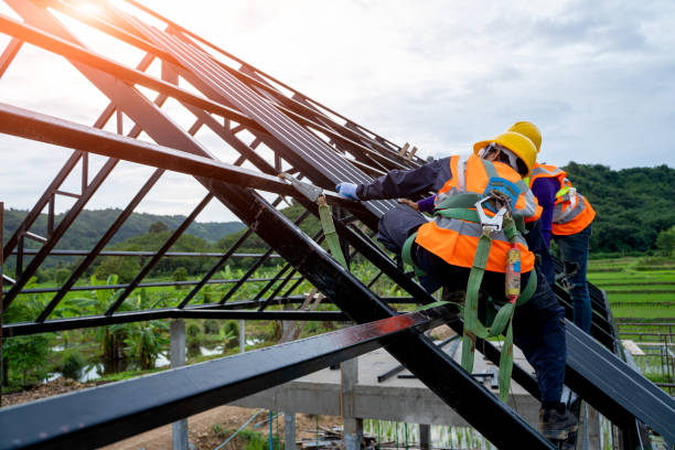 Best Metal Roofing Contractor  in Griffin, GA